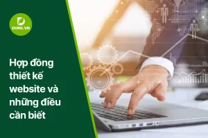 hop dong thiet ke website va nhung dieu can biet dung.vn